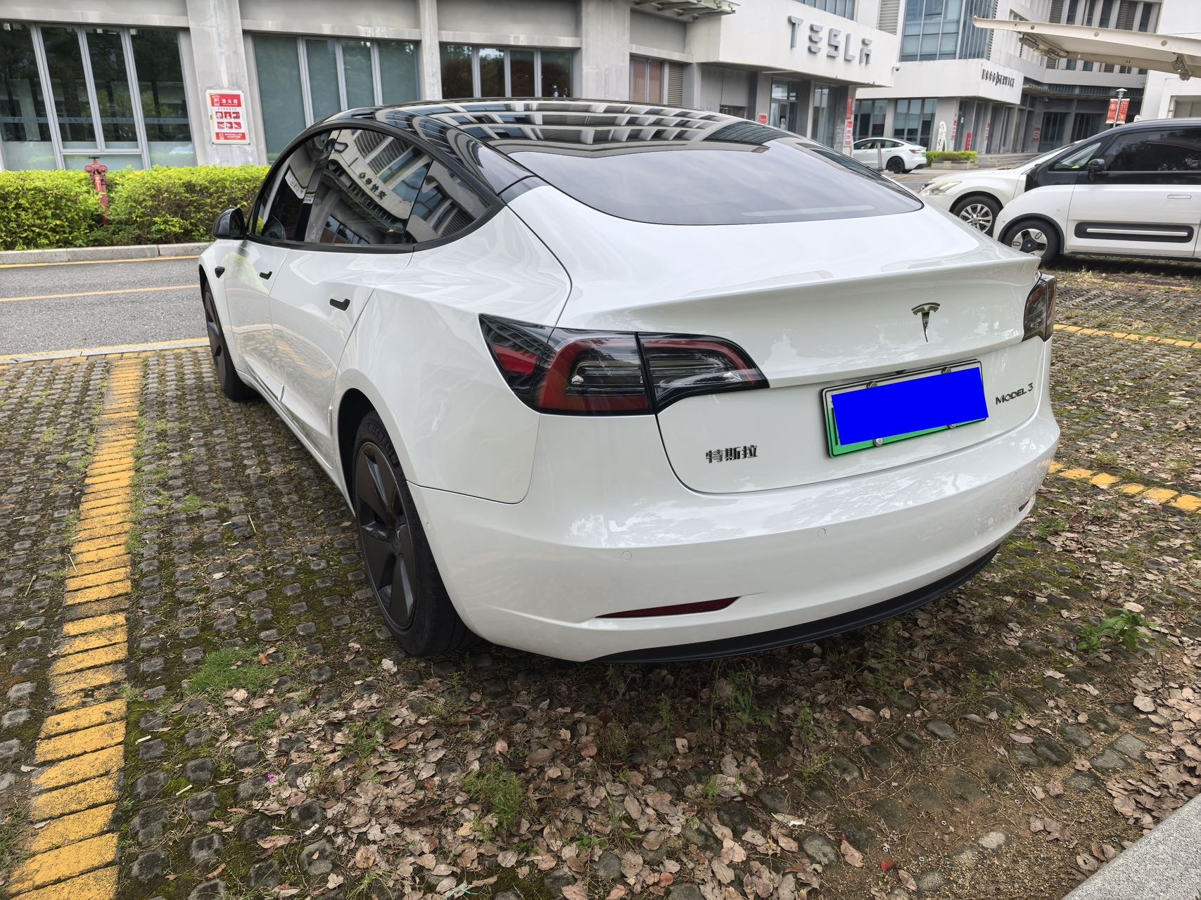 Tesla Model 3 2023 #4 Tesla Model 3 2023 car image #4