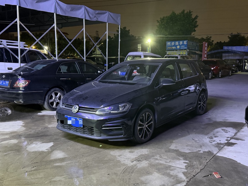 Volkswagen Golf 2019 Volkswagen Golf 2019 car image