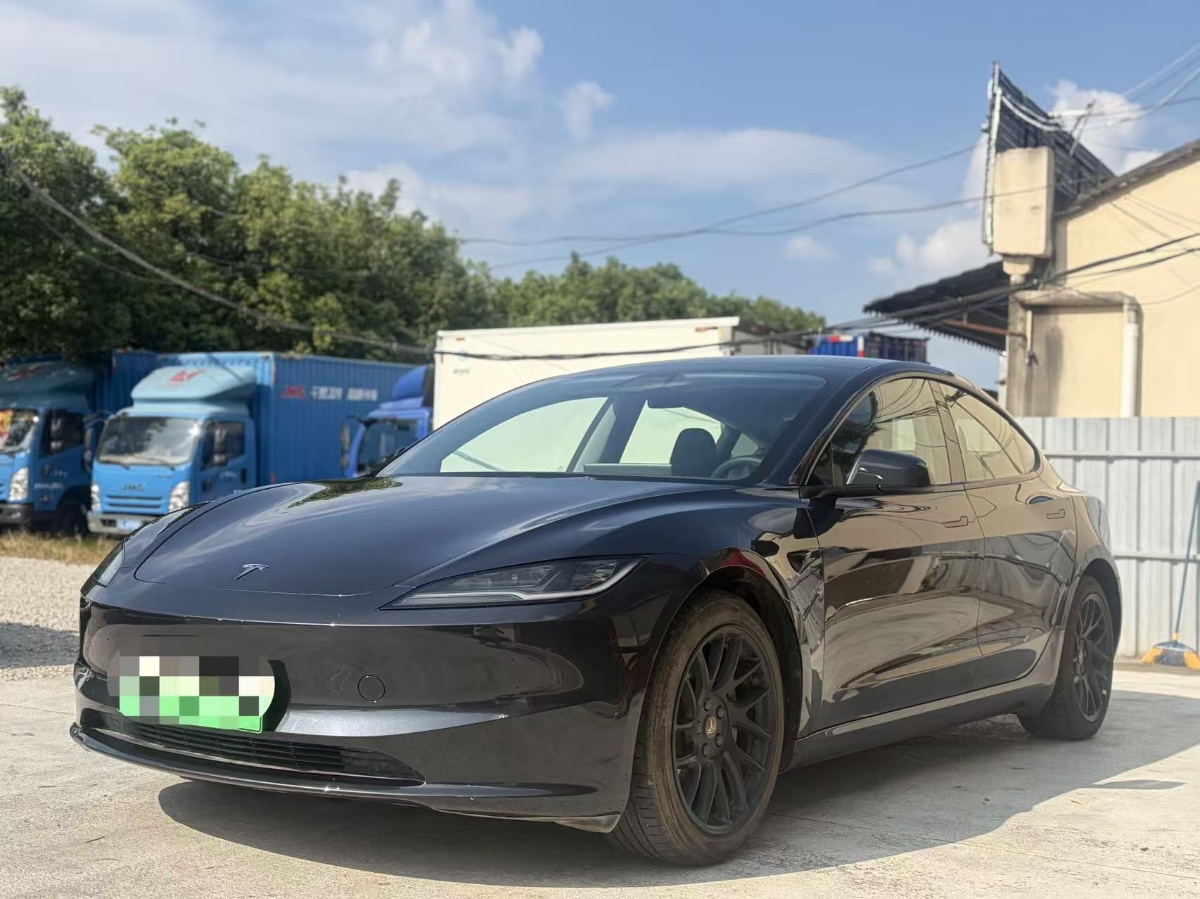 Tesla Model 3 2025 Tesla Model 3 2025 car image