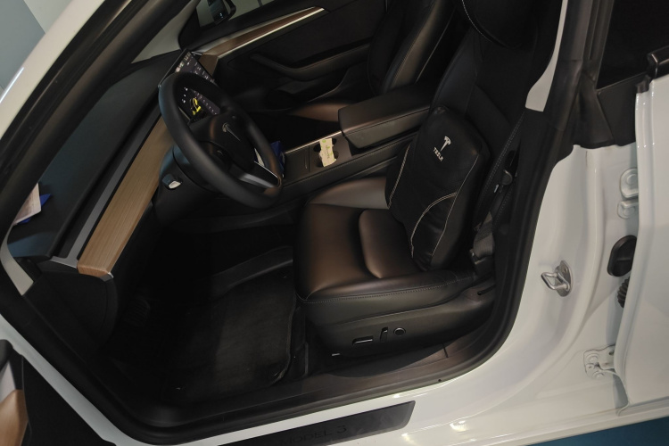 Tesla Model 3 2023 car image #19