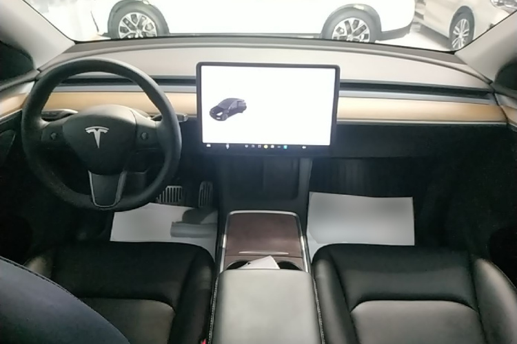 Tesla Model Y 2021 car image #10