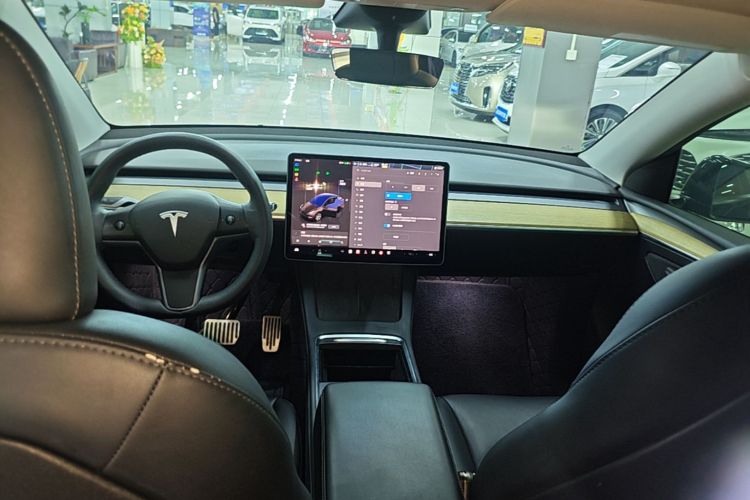 Tesla Model Y 2023 #10 Tesla Model Y 2023 car image #10