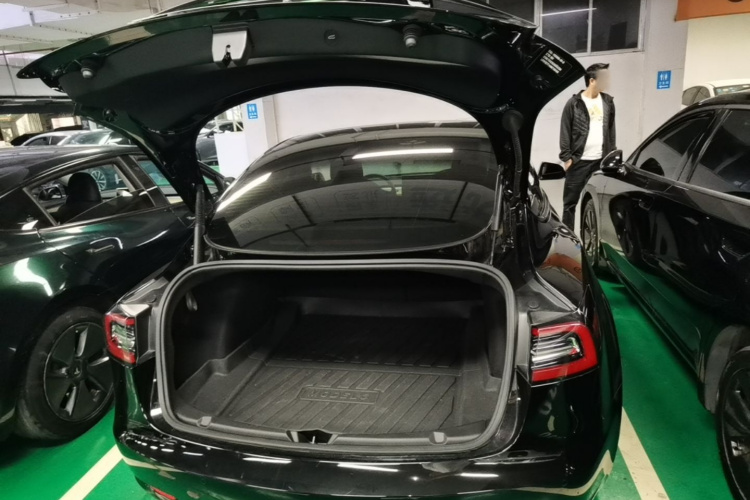 Tesla Model 3 2021 immagine di auto #19