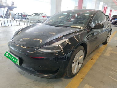 Tesla Model 3 2021 Tesla Model 3 2021 car image