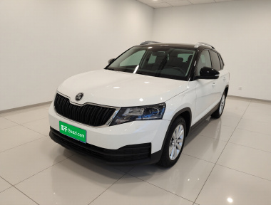 Skoda Kamiq 2024 Skoda Kamiq 2024 car image