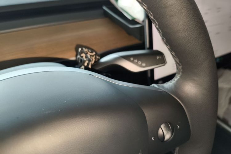 Tesla Model 3 2021 #14 Tesla Model 3 2021 car image #14