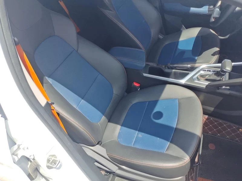 Livan X3 PRO 2024 car image #18