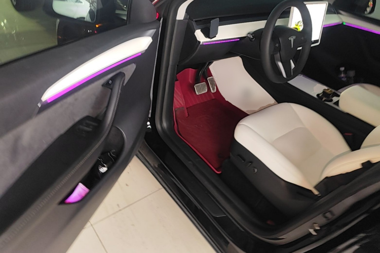 Tesla Model Y 2021 car image #16