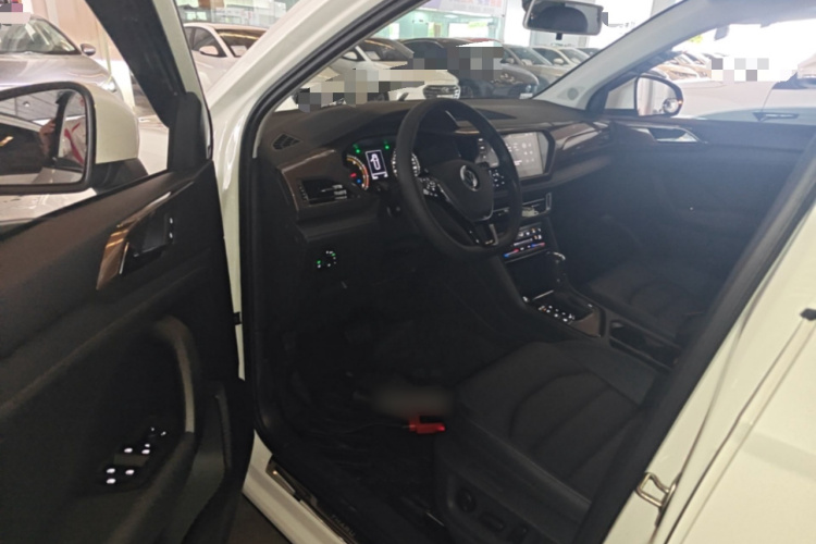 Volkswagen Tharu 2021 car image #12
