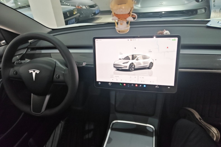 Tesla Model 3 2023 #10 Tesla Model 3 2023 car image #10