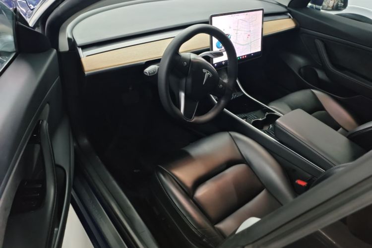 Tesla Model 3 2020 car image #16