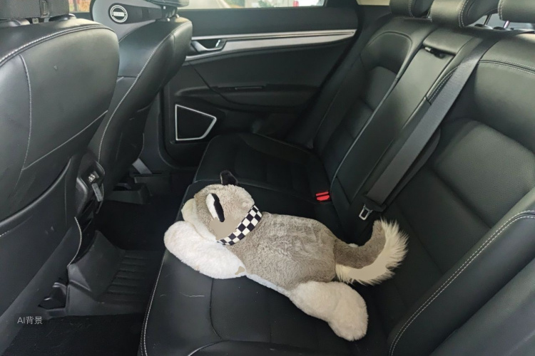 GEELY Emgrand GS 2020 car image #19