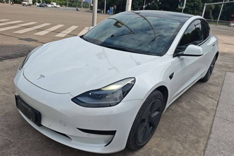 Tesla Model 3 2021 #2 Tesla Model 3 2021 car image #2