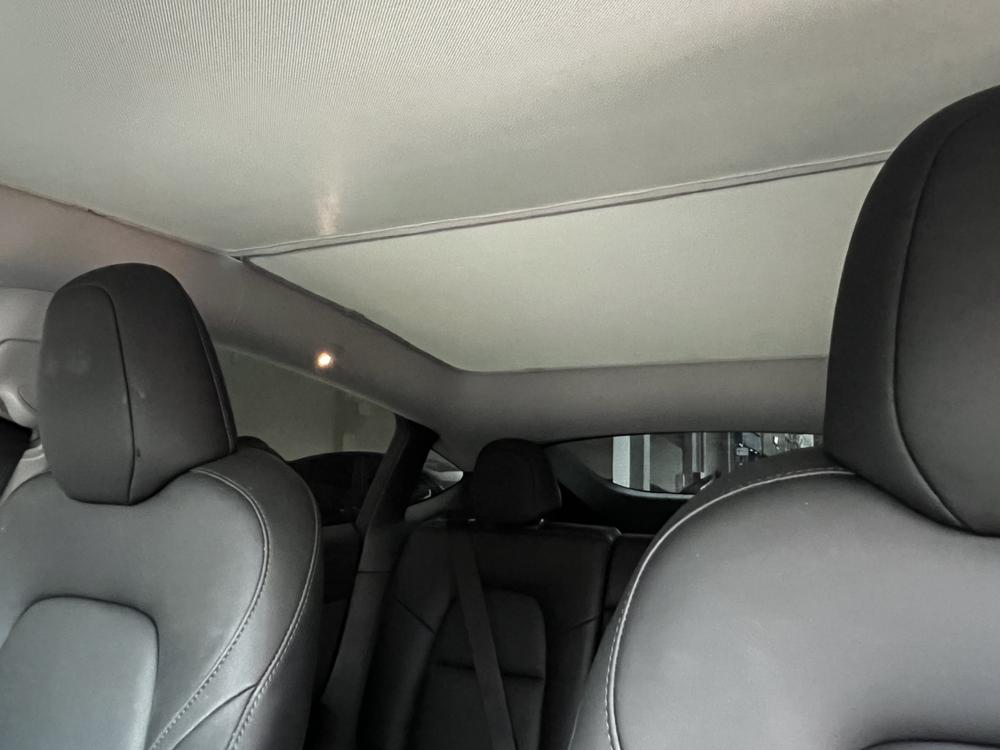 Tesla Model Y 2023 #26 Tesla Model Y 2023 car image #26