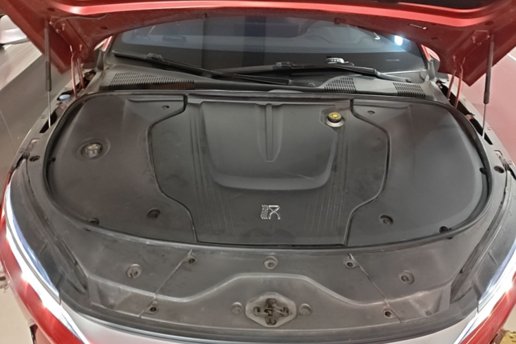 BYD Han 2021 #20 BYD Han 2021 immagine di auto #20