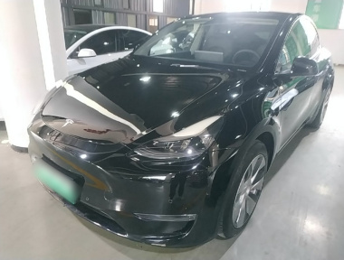 Tesla Model Y 2021 Tesla Model Y 2021 car image