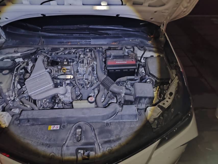 Toyota Corolla 2020 imagen de coche #6