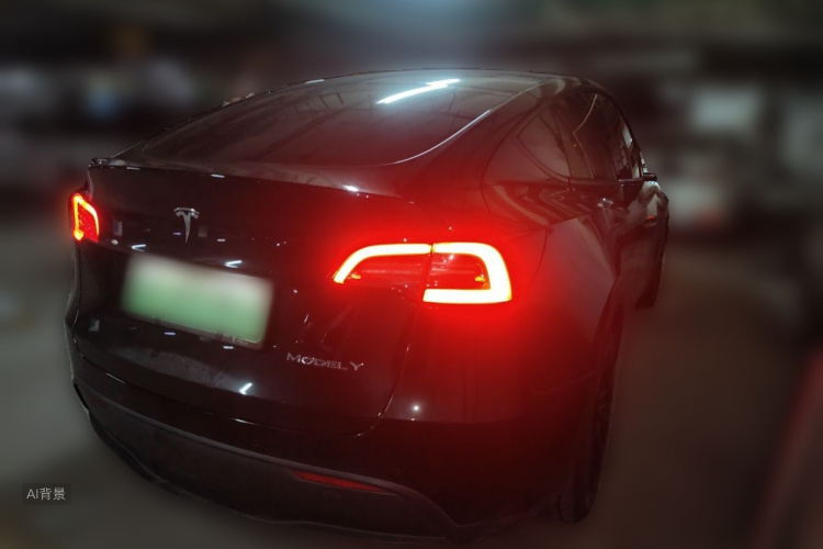 Tesla Model Y 2021 car image #7