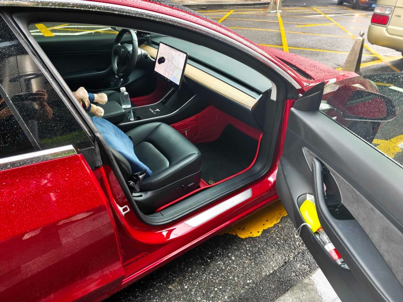 Tesla Model 3 2020 #7 Tesla Model 3 2020 car image #7