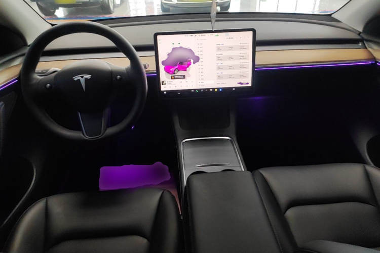 Tesla Model Y 2022 car image #11