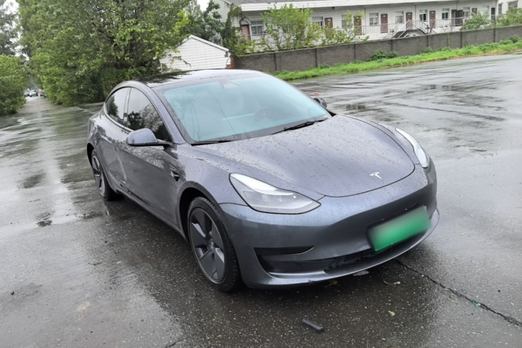 Tesla Model 3 2021 car image #6