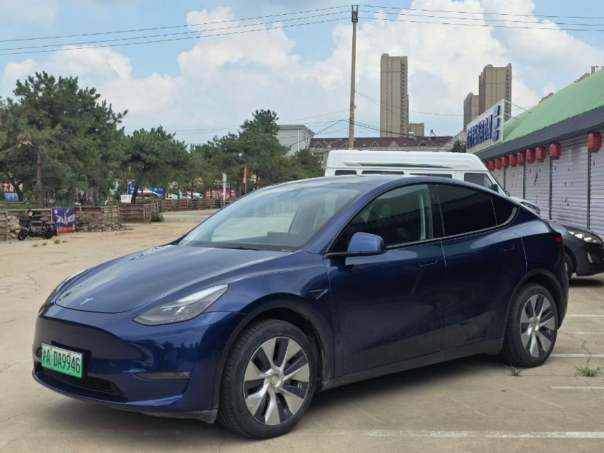 Tesla Model Y 2021 Tesla Model Y 2021 car image