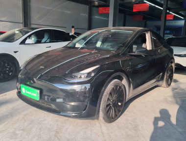 Tesla Model Y 2002 Tesla Model Y 2002 car image