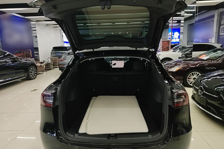 Tesla Model Y 2023 #19 Tesla Model Y 2023 car image #19