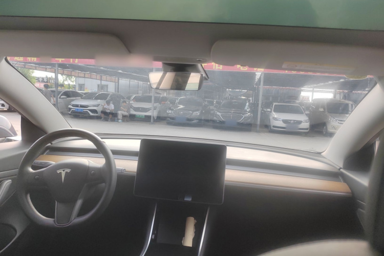 Tesla Model 3 2020 car image #12