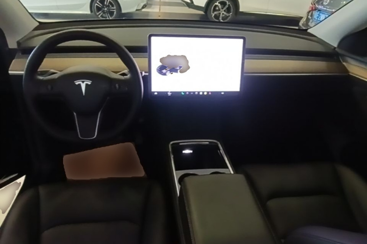 Tesla Model Y 2021 car image #10