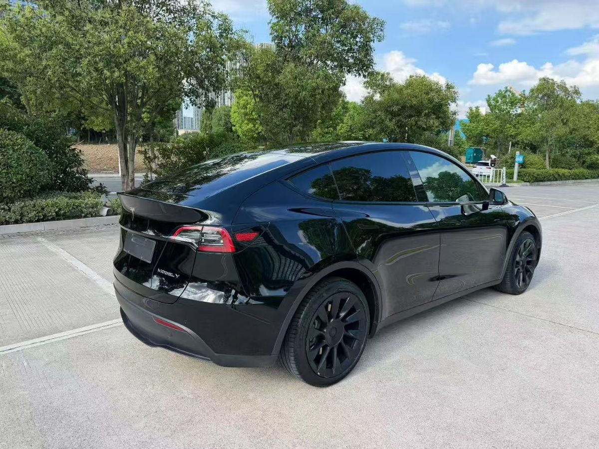 Tesla Model Y 2023 #9 Tesla Model Y 2023 car image #9