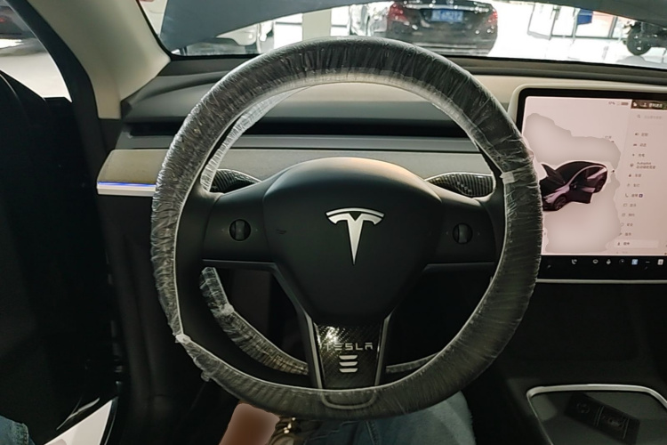Tesla Model Y 2025 car image #11