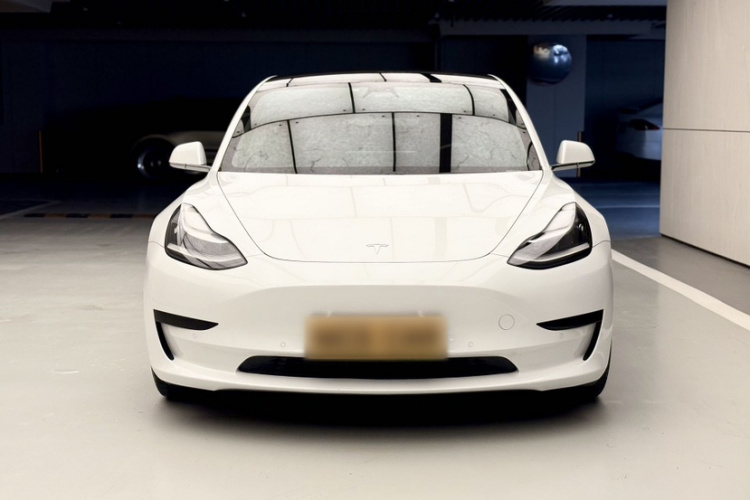 Tesla Model 3 2020 car image #5