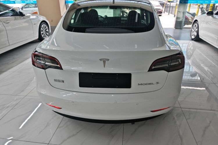 Tesla Model 3 2021 #6 Tesla Model 3 2021 car image #6