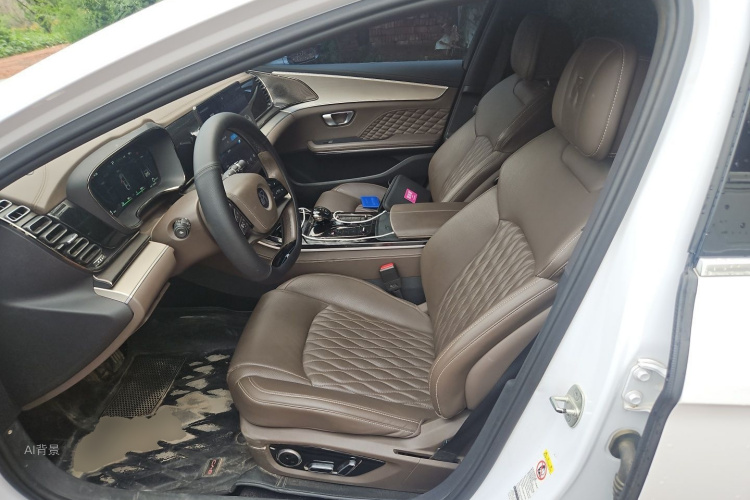 BYD Han 2022 car image #17
