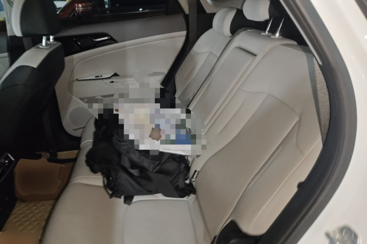 起亚 狮铂拓界 2022 汽车图片 #17