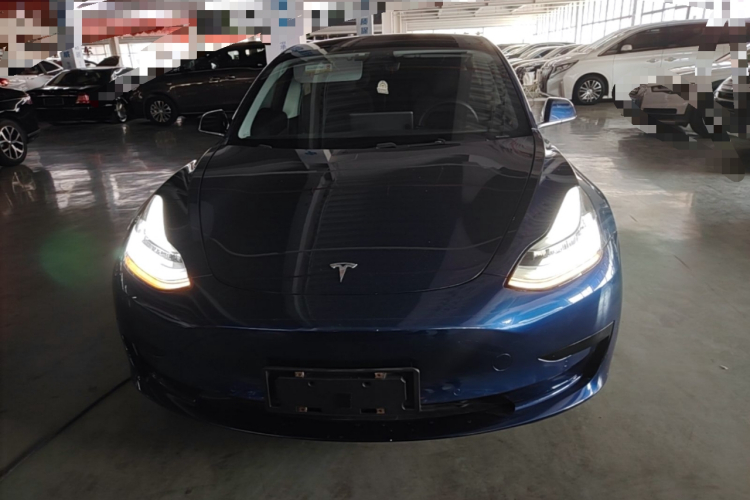 Tesla Model 3 2020 #3 Tesla Model 3 2020 car image #3