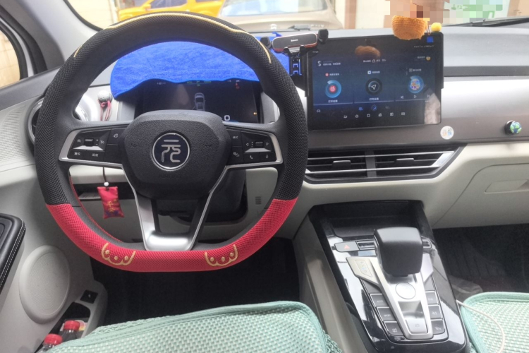 BYD Yuan Pro 2022 #7 BYD Yuan Pro 2022 immagine di auto #7