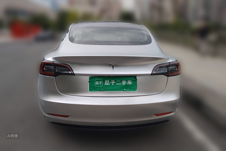 Tesla Model 3 2020 car image #6