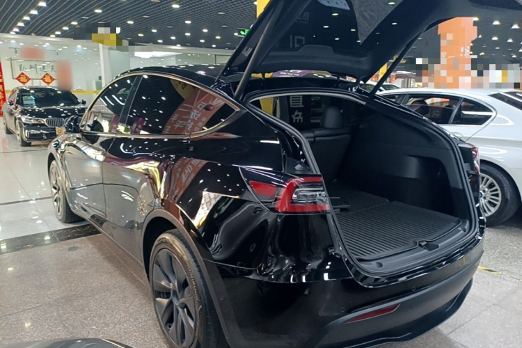 Tesla Model Y 2024 immagine di auto #7