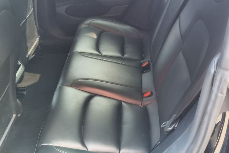 Tesla Model 3 2020 car image #17
