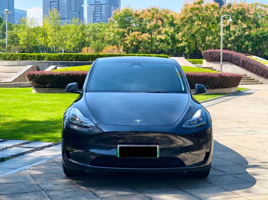Tesla Model Y 2024 imagen de coche #2