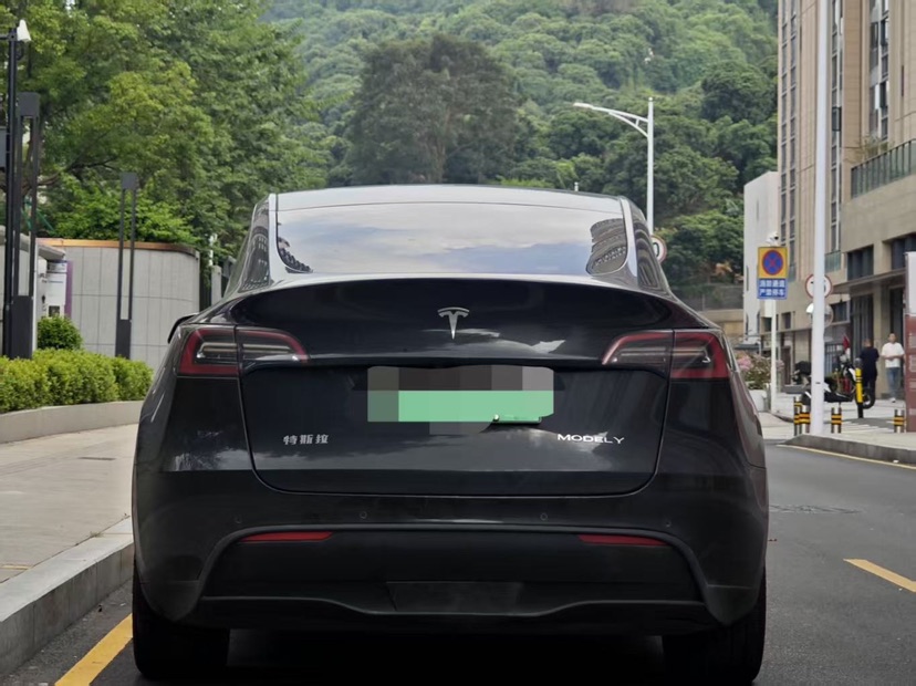 Tesla Model Y 2021 #5 Tesla Model Y 2021 car image #5
