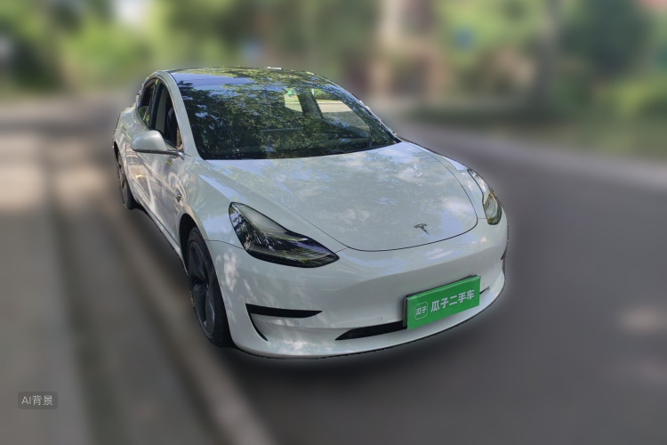 Tesla Model 3 2020 #4 Tesla Model 3 2020 car image #4