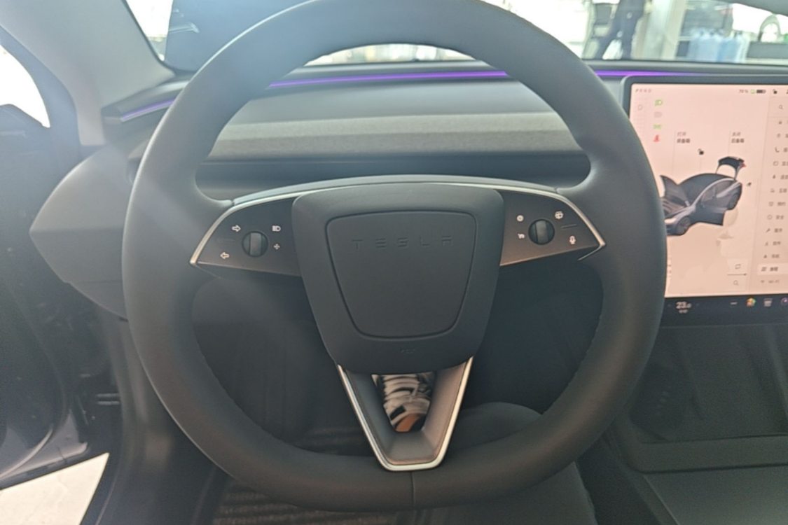 Tesla Model 3 2025 #16 Tesla Model 3 2025 car image #16