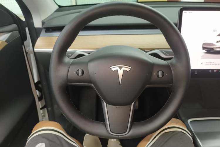 Tesla Model Y 2022 car image #11