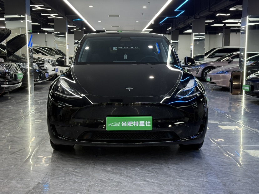 Tesla Model Y 2022 car image #2