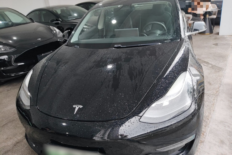 Tesla Model 3 2020 car image #3