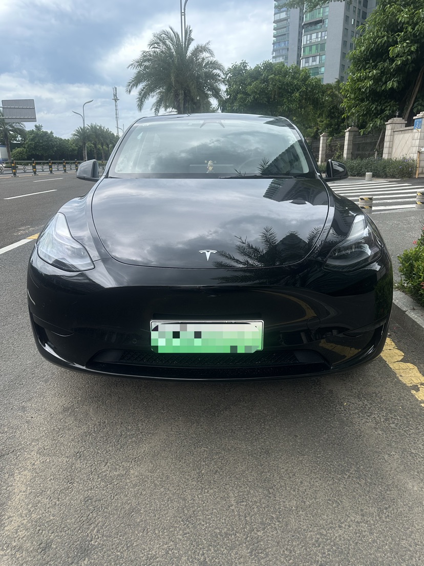Tesla Model Y 2022 Tesla Model Y 2022 immagine di auto