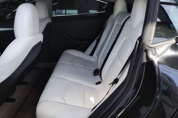 Tesla Model 3 2021 #17 Tesla Model 3 2021 car image #17